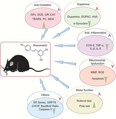 Resveratrol in Rodent Models of Parkinson’s Disease: A Systematic Review of Experimental Studies